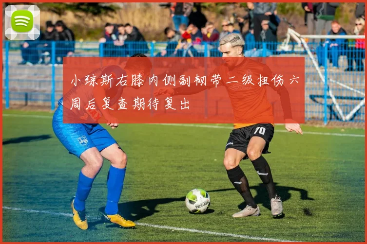 小琼斯右膝内侧副韧带二级扭伤六周后复查期待复出