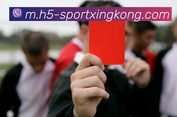 星空体育服务体系